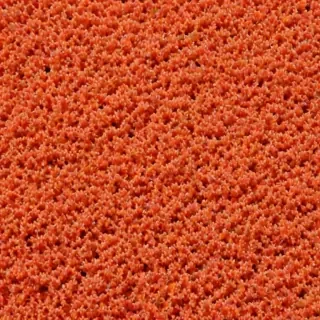 coral color