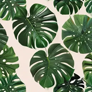 aesthetic monstera wallpaper
