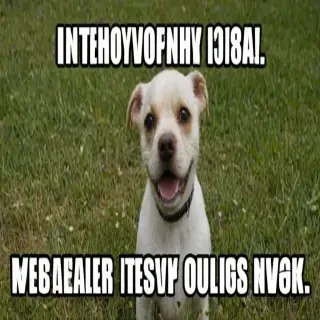 funny pictures