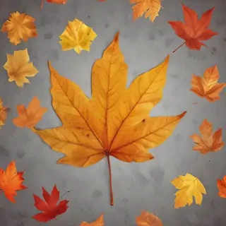 autumn leaf png
