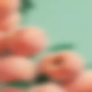 peach wallpaper aesthetic