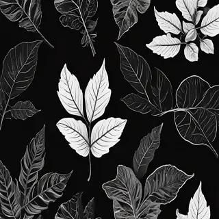 black and white leaf clip art