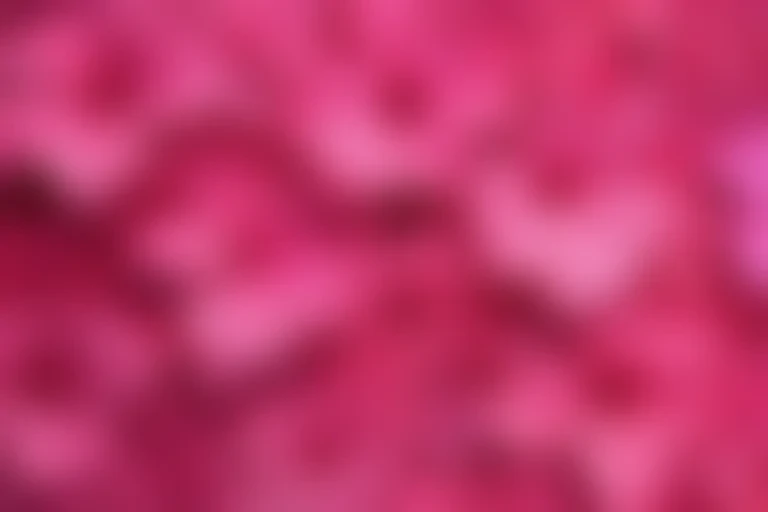 hot pink wallpaper iphone