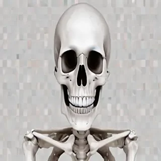 skeleton transparent background