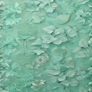 mint green background