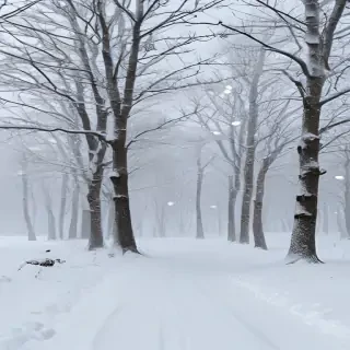 snow transparent