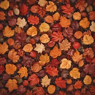 autumn leaves iphone wallpaper