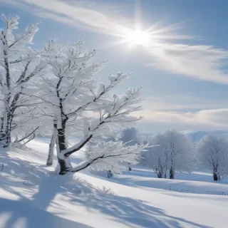 transparent snow