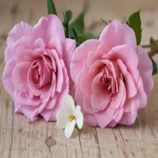 best wallpapers with quotes