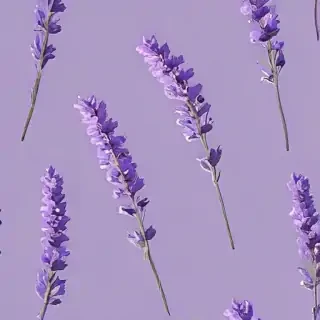 aesthetic lavender wallpaper