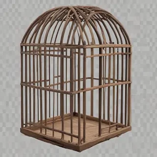 cage png