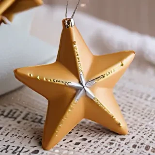 xmas star pictures