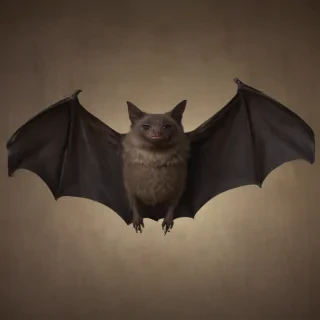 images of halloween bats