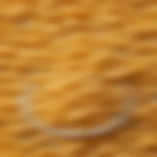 macaroni and cheese png