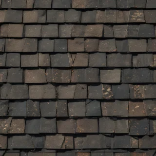 shingles images
