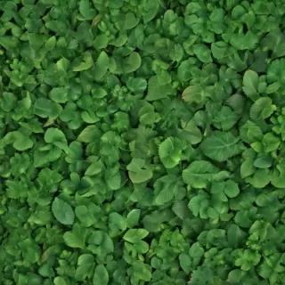 leaf background green