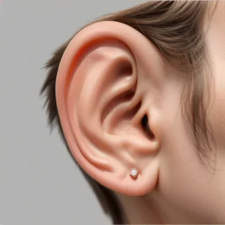 ear png