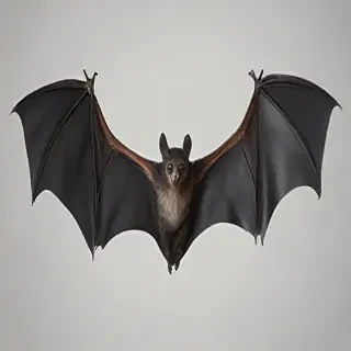 bat wings png