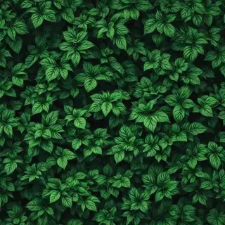 aesthetic green wallpapers
