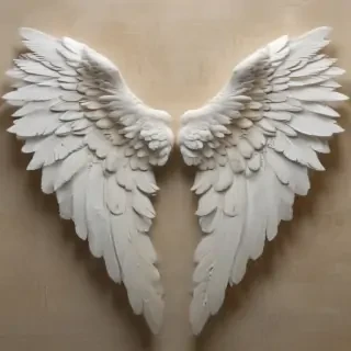 picture of angel wings