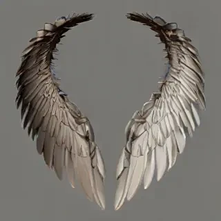 angle wings png