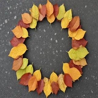 leaf circle