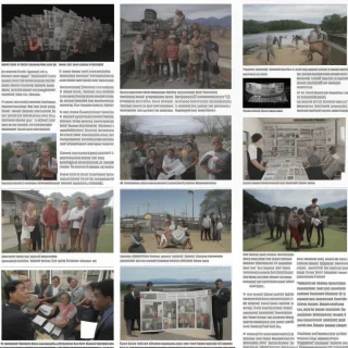 newspaper collage png