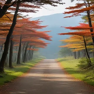 freeuse japan