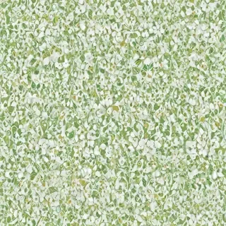 background white and green