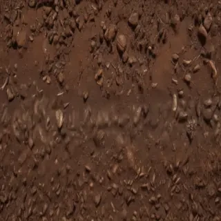 soil png