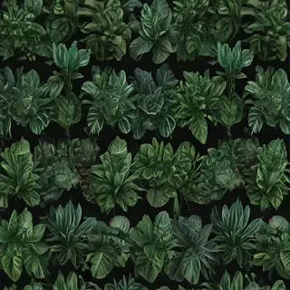 plants zoom backgrounds
