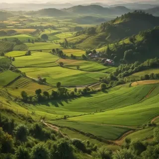 farmland png