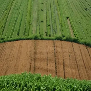 farmland png