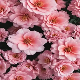 flowers aesthetic wallpaper