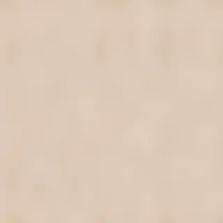 neutral computer background