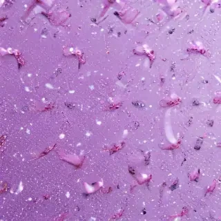 light purple glitter background
