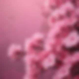 cute pink iphone wallpaper