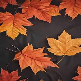 fall iphone background