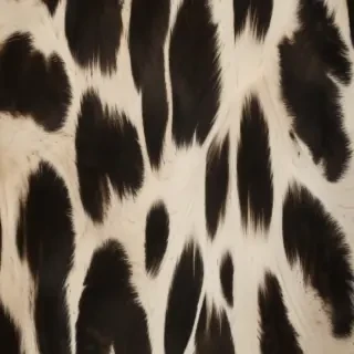 cowprint background