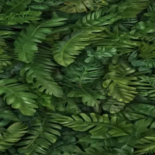 tropical leaf png