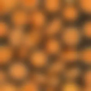 aesthetic orange wallpaper