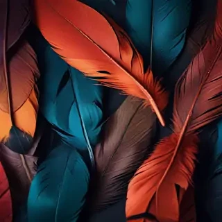 feather background