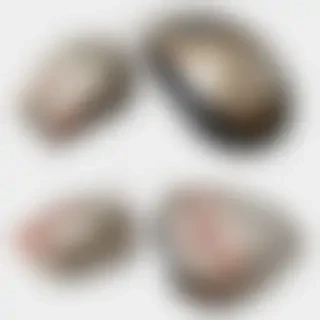 mouse png