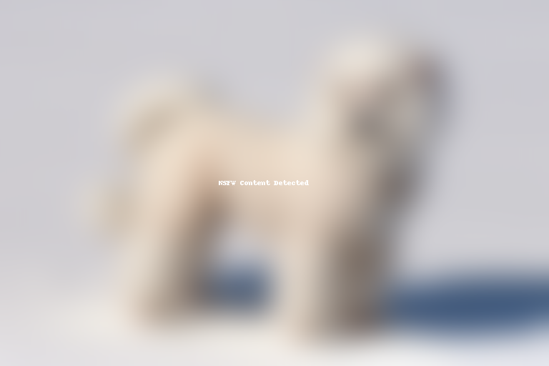eskipoo dog breed