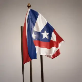 texas flag png