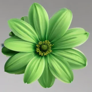 green flower png
