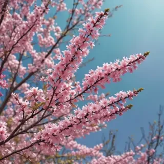 springtime iphone wallpaper
