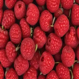 raspberry png