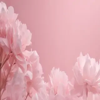 aesthetic light pink background