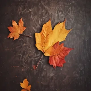 fall wallpaper for iphone